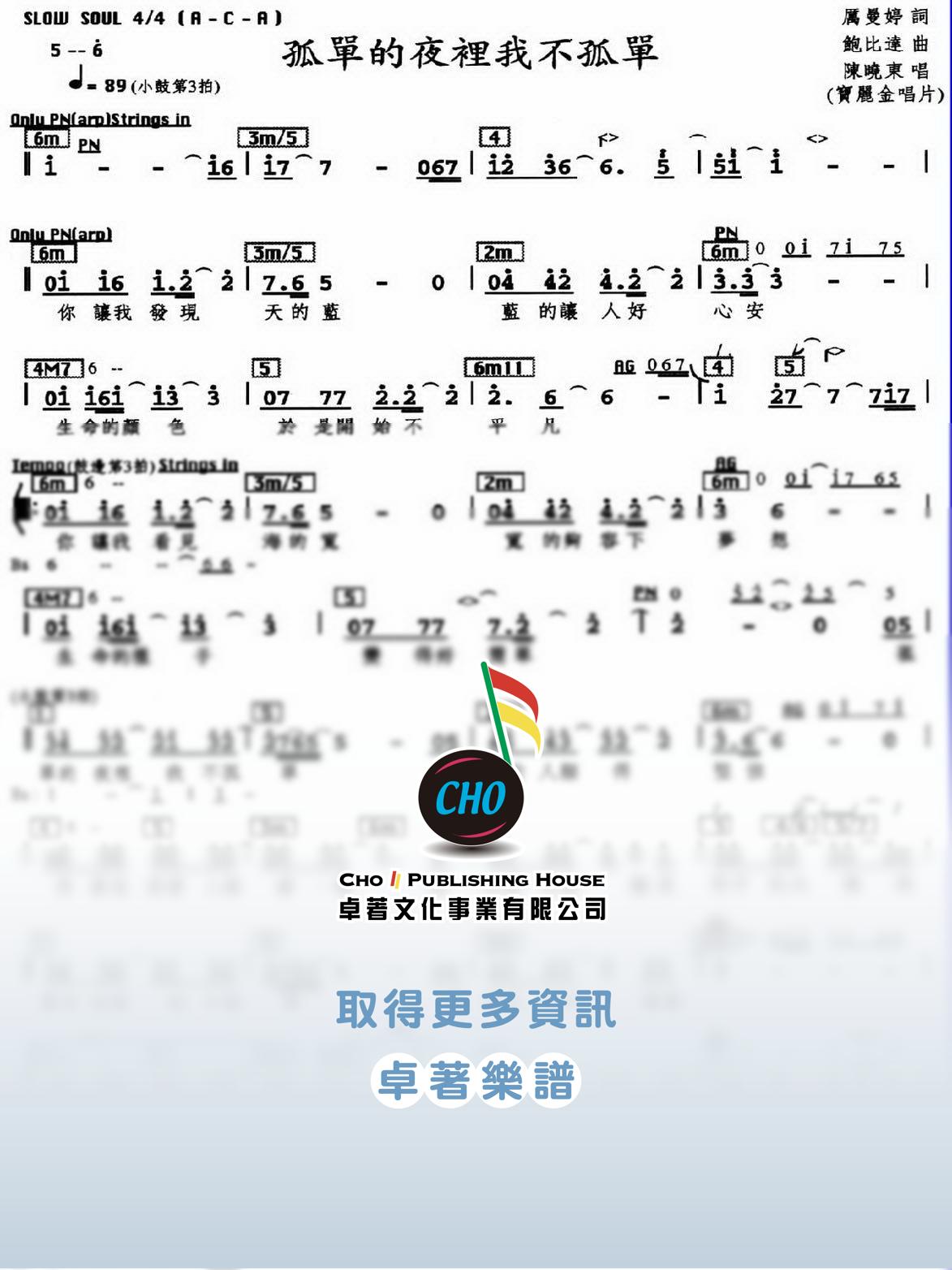 孤單的夜裡我不孤單